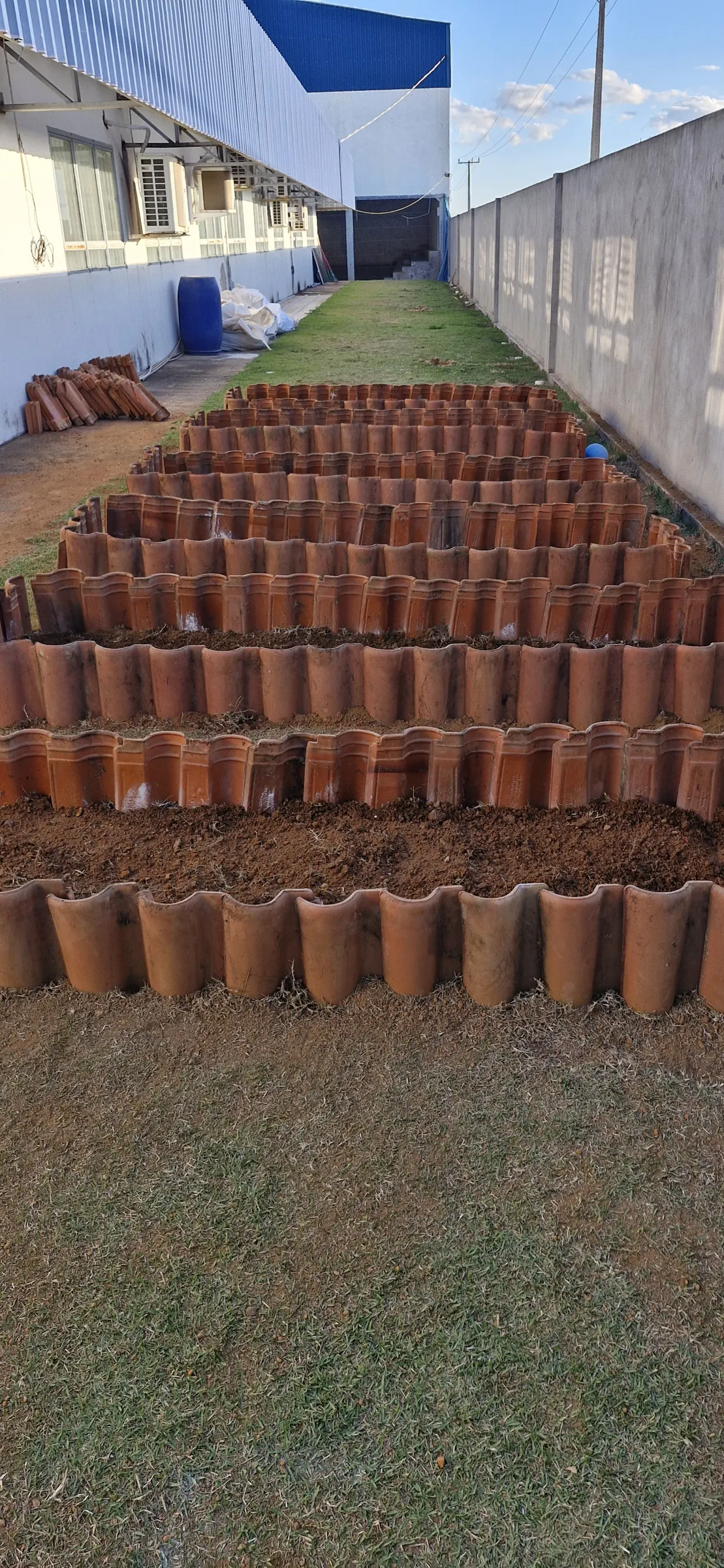 Fileiras de canteiros de telha de barro na lateral da escola